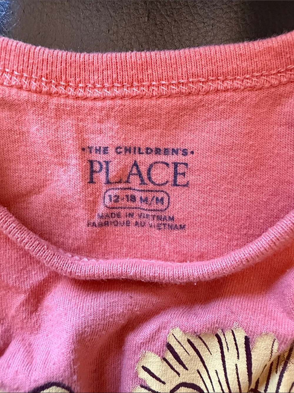 The Children's Place Orange Lion Graphic Tee